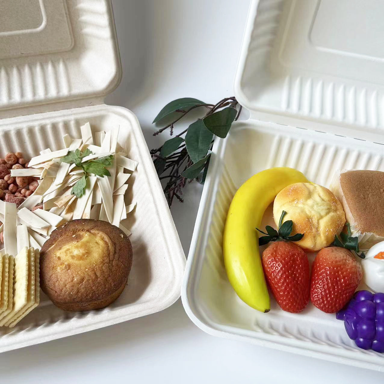 Clamshell  White disposable Food Container Boxes in Square - 9" x 9"