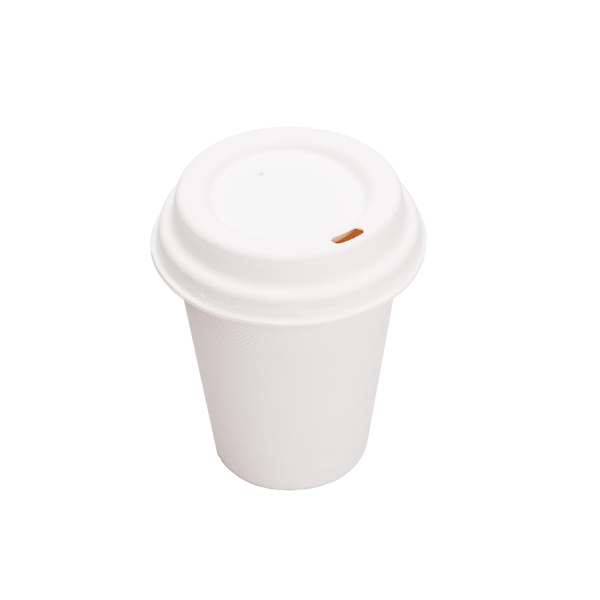 Bagasse Cups for Hot or Cold Drinks – 12oz – Dia90mm H97mm – White