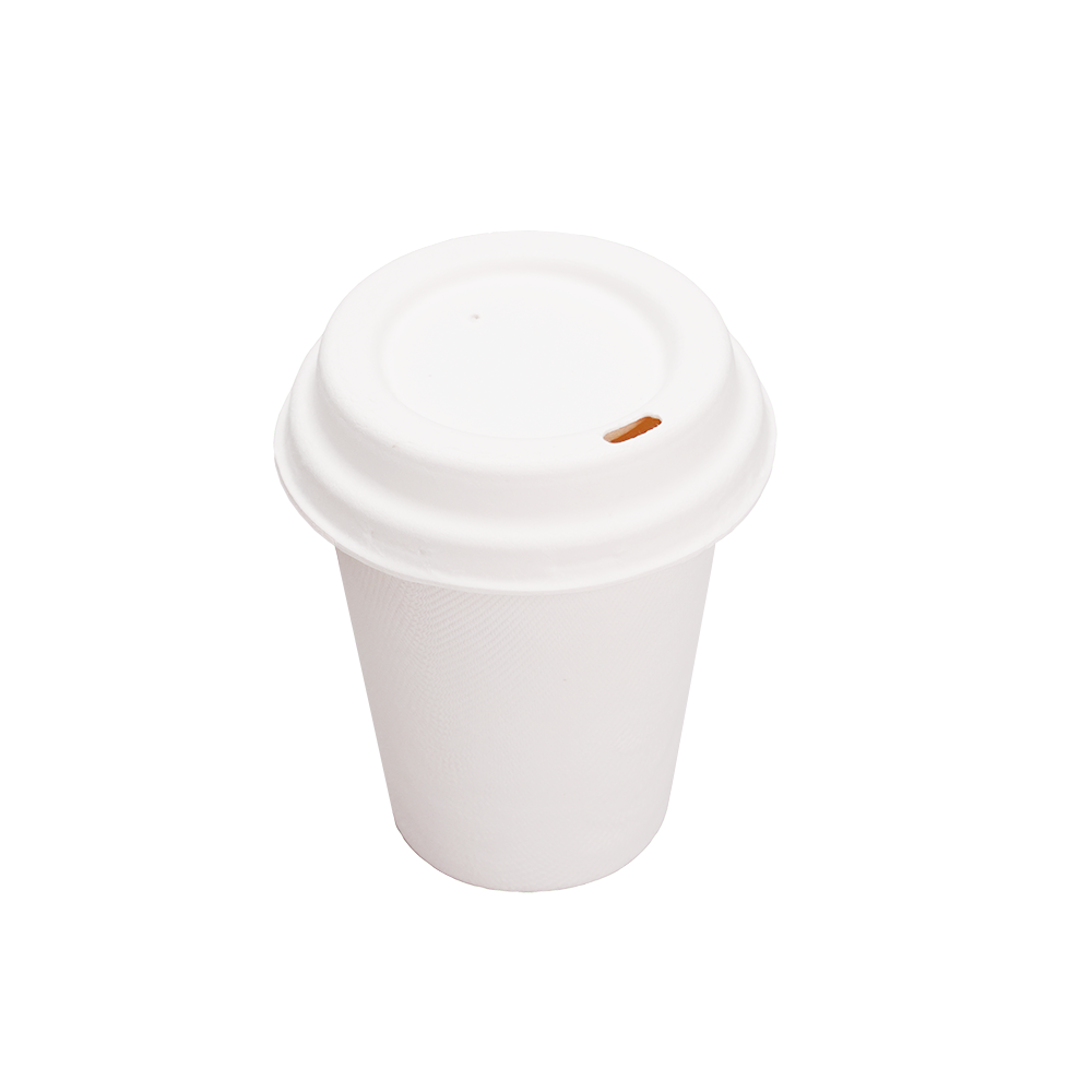 Bagasse Cups for Hot or Cold Drinks – 8oz – Dia80mm H90mm – White