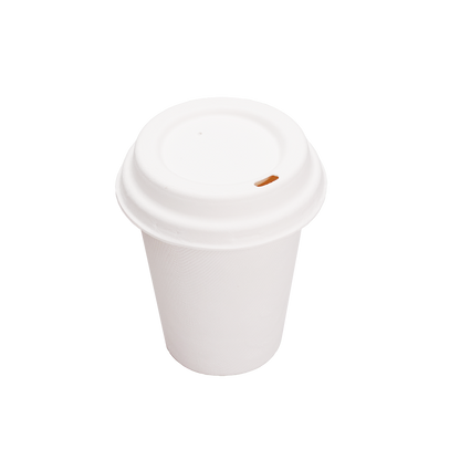 Bagasse Cups for Hot or Cold Drinks – 8oz – Dia80mm H90mm – White