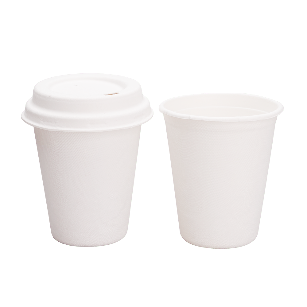 Bagasse Cups for Hot or Cold Drinks – 8oz – Dia80mm H90mm – White