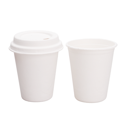 Bagasse Cups for Hot or Cold Drinks – 8oz – Dia80mm H90mm – White