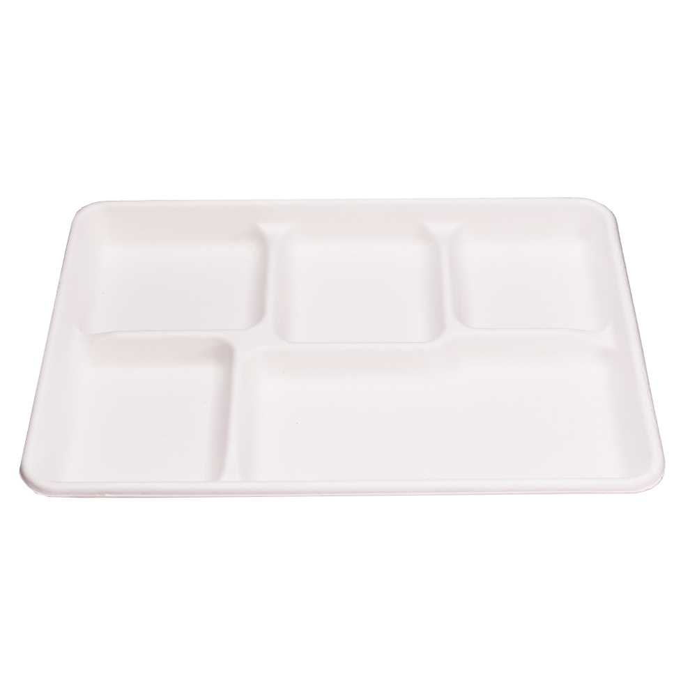 EcoFlavour Rectangular Bagasse Plates 5 Compartments – (Pack of 125 Plates)