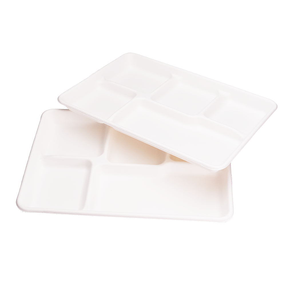 EcoFlavour Rectangular Bagasse Plates 5 Compartments – (Pack of 125 Plates)