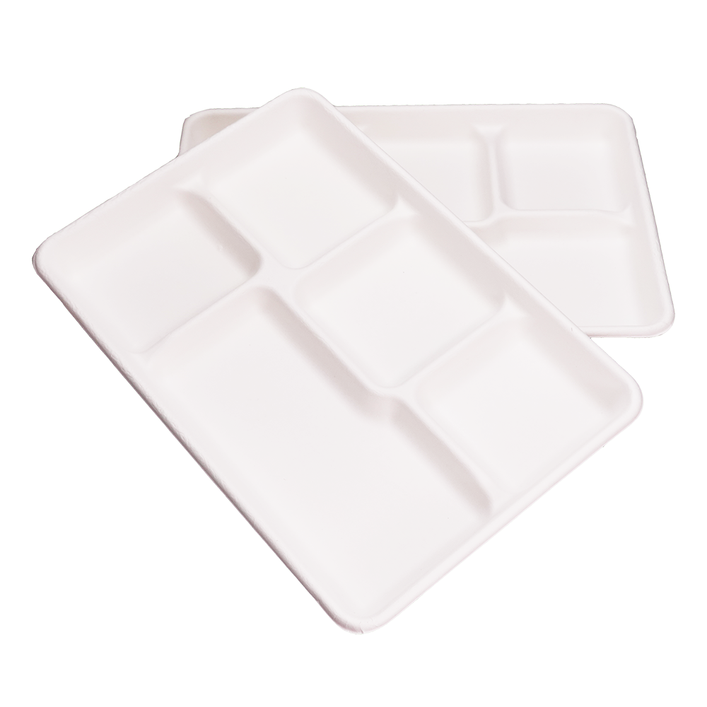 EcoFlavour Rectangular Bagasse Plates 5 Compartments – (Pack of 125 Plates)