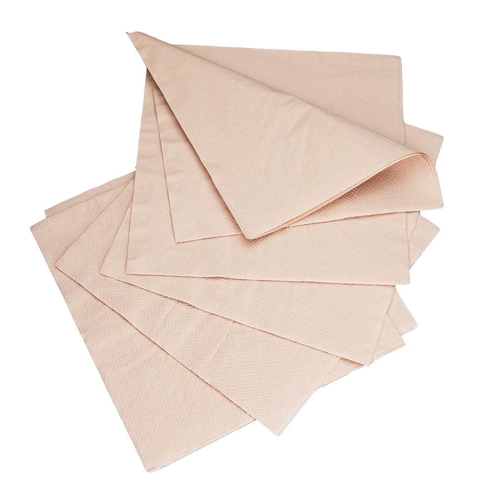 EcoFlavour Bamboo Pulp 2ply Premium Paper Napkins 33x33cm – Natural Colour – Pack of 100