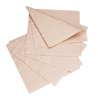 EcoFlavour Bamboo Pulp 2ply Premium Paper Napkins 33x33cm – Natural Colour – Pack of 100