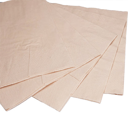 EcoFlavour Bamboo Pulp 2ply Premium Paper Napkins 33x33cm – Natural Colour – Pack of 100