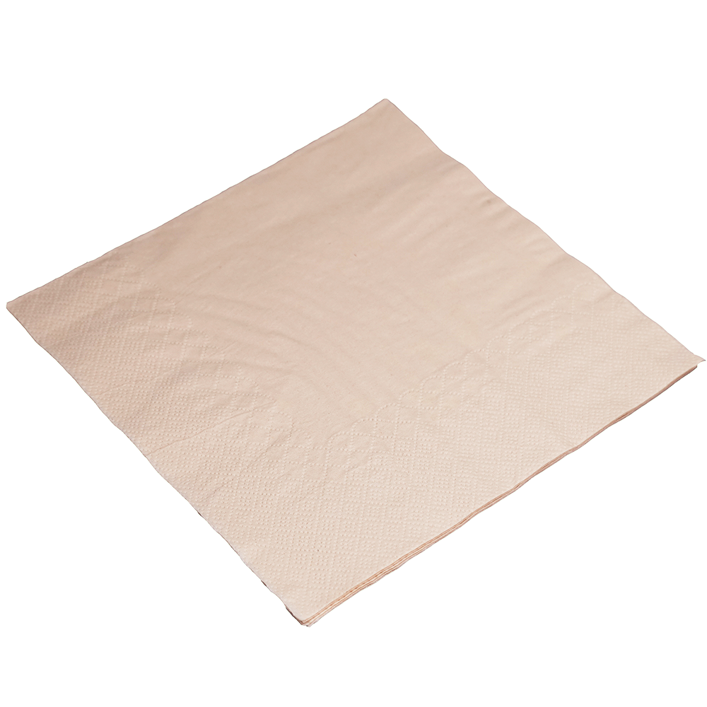 EcoFlavour Bamboo Pulp 2ply Premium Paper Napkins 33x33cm – Natural Colour – Pack of 100