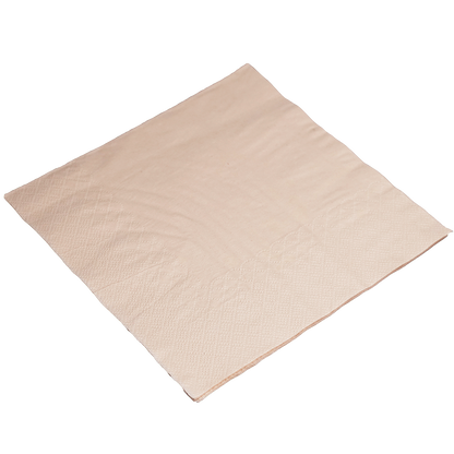 EcoFlavour Bamboo Pulp 2ply Premium Paper Napkins 33x33cm – Natural Colour – Pack of 100