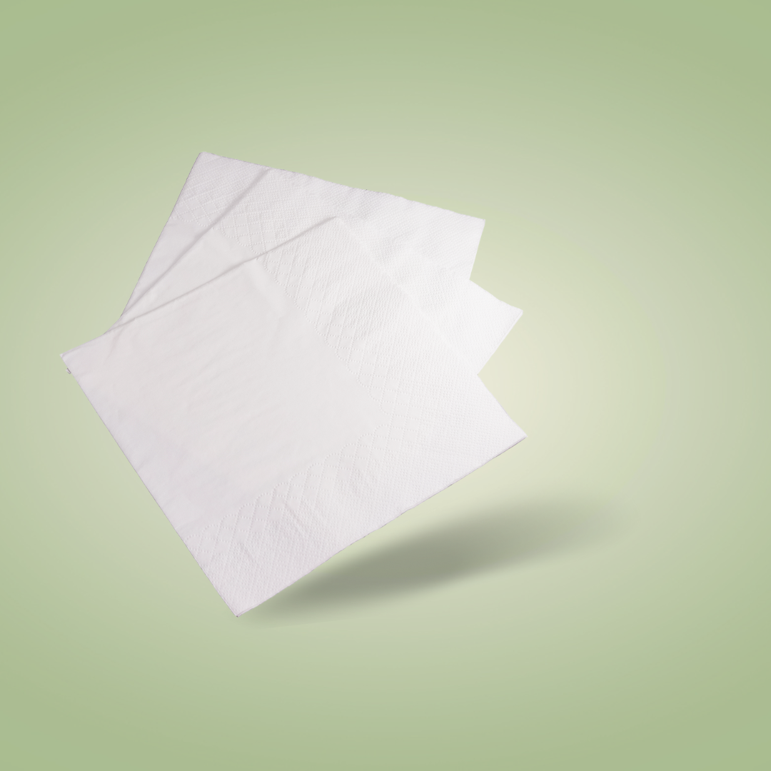 EcoFlavour Wood Pulp 2ply Paper Napkins 33x33cm -White – Pack of 100 – Premium Range